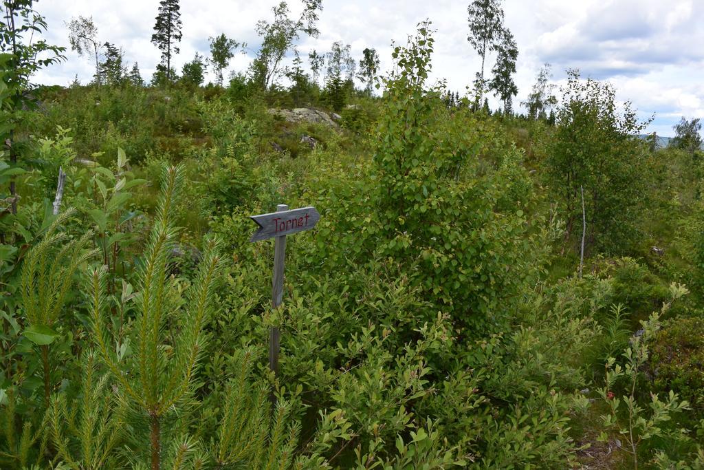 Mieps Huset Dalarna Holiday Kullen  Zewnętrze zdjęcie