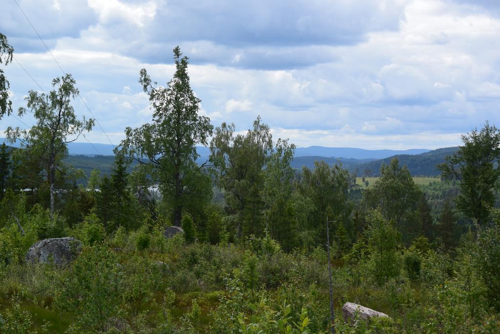 Willa Mieps Huset Dalarna Holiday Kullen  Zewnętrze zdjęcie